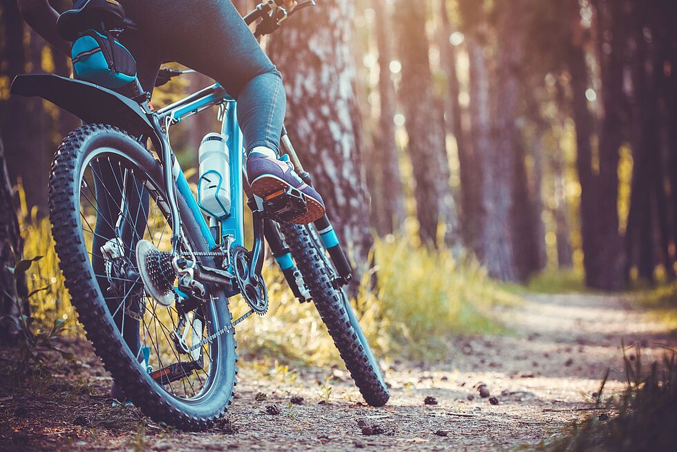 Frau auf Mountainbike fährt über einen sonnigen Waldtrail