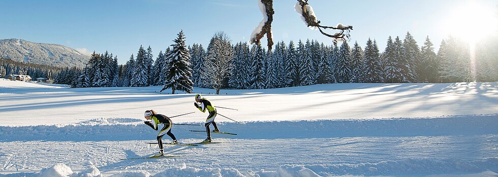 Zwei Langläufer im Skating-Stil auf sonniger Winterloipe
