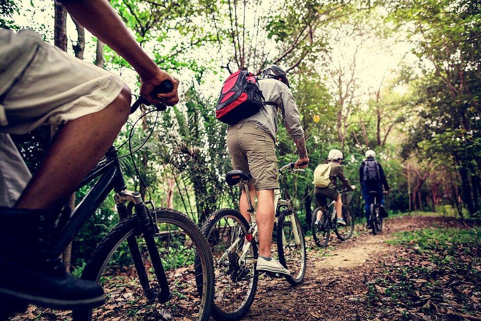 Eine Gruppe von Radfahrern fährt gemeinsam auf einem Waldweg