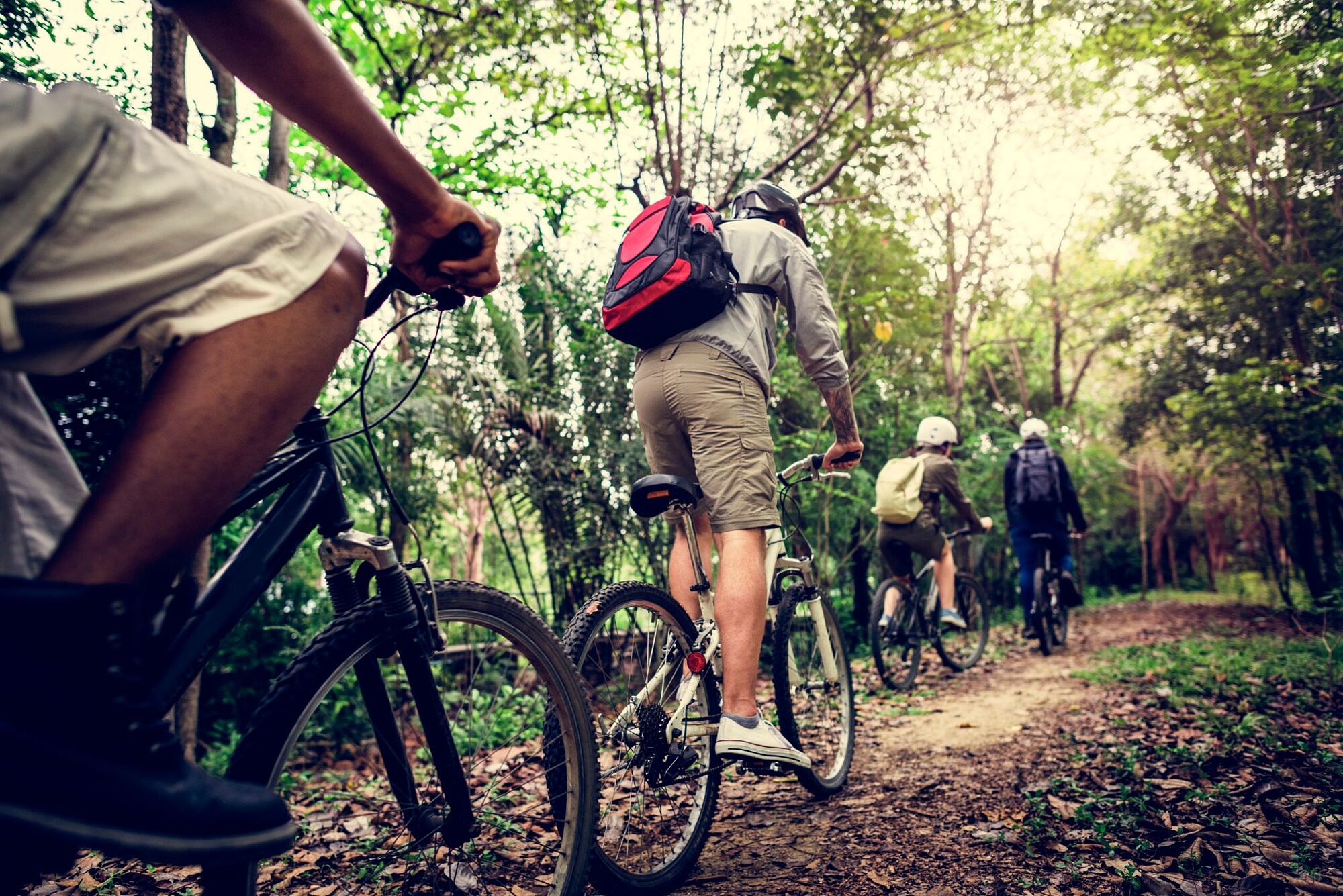 Eine Gruppe von Radfahrern fährt gemeinsam auf einem Waldweg