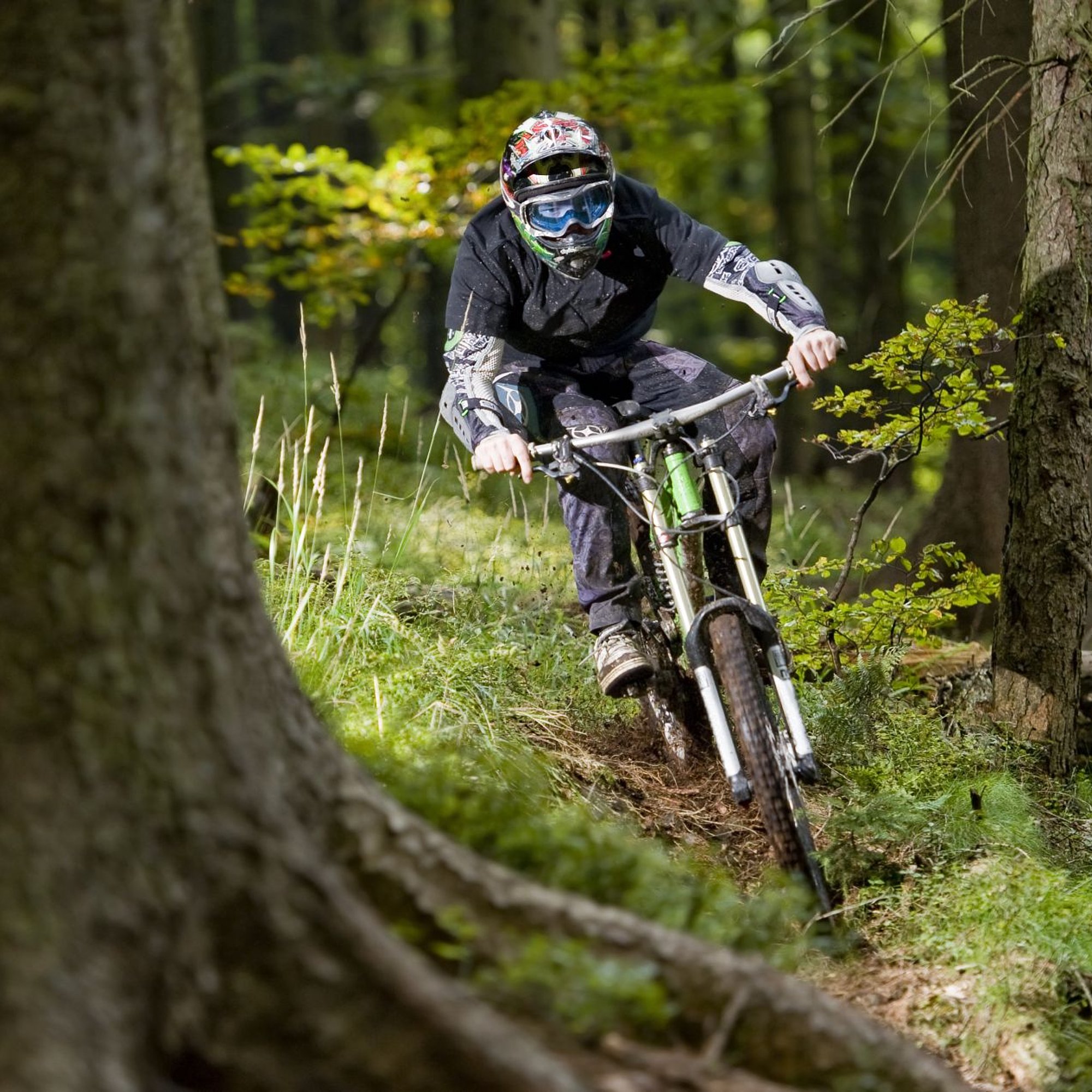 Mountainbiker fährt schnell einen schmalen Singletrail zwischen Bäumen